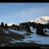 20070305_009